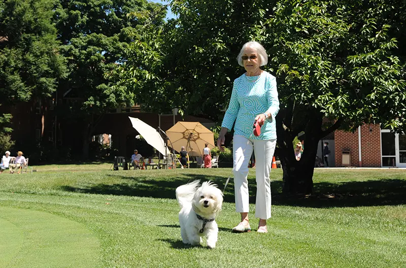 an older woman walking her dog outside