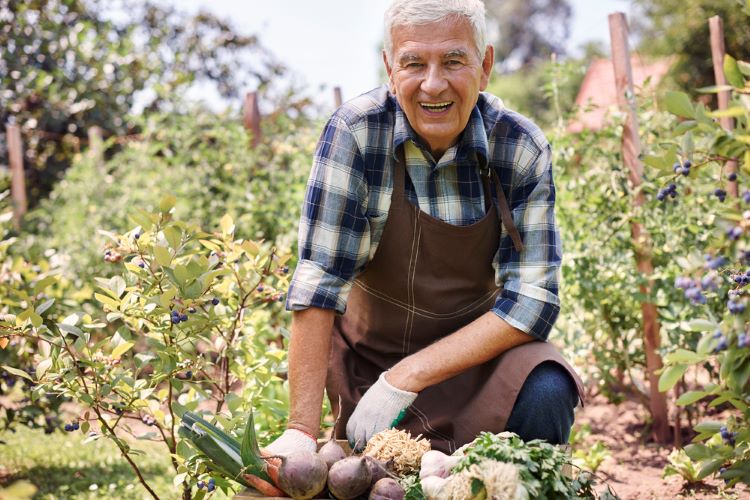 an elderly man in a garden